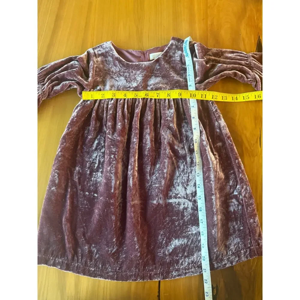 Gymboree beautiful mauve